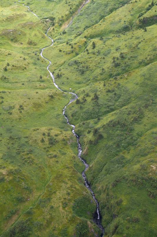 Stream Running Down Hillside